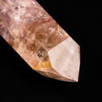 Powellite - Freefrom