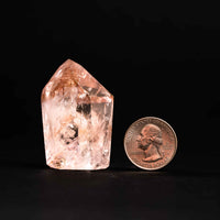 Powellite - Freefrom