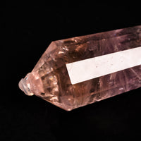 Powellite - Vogel