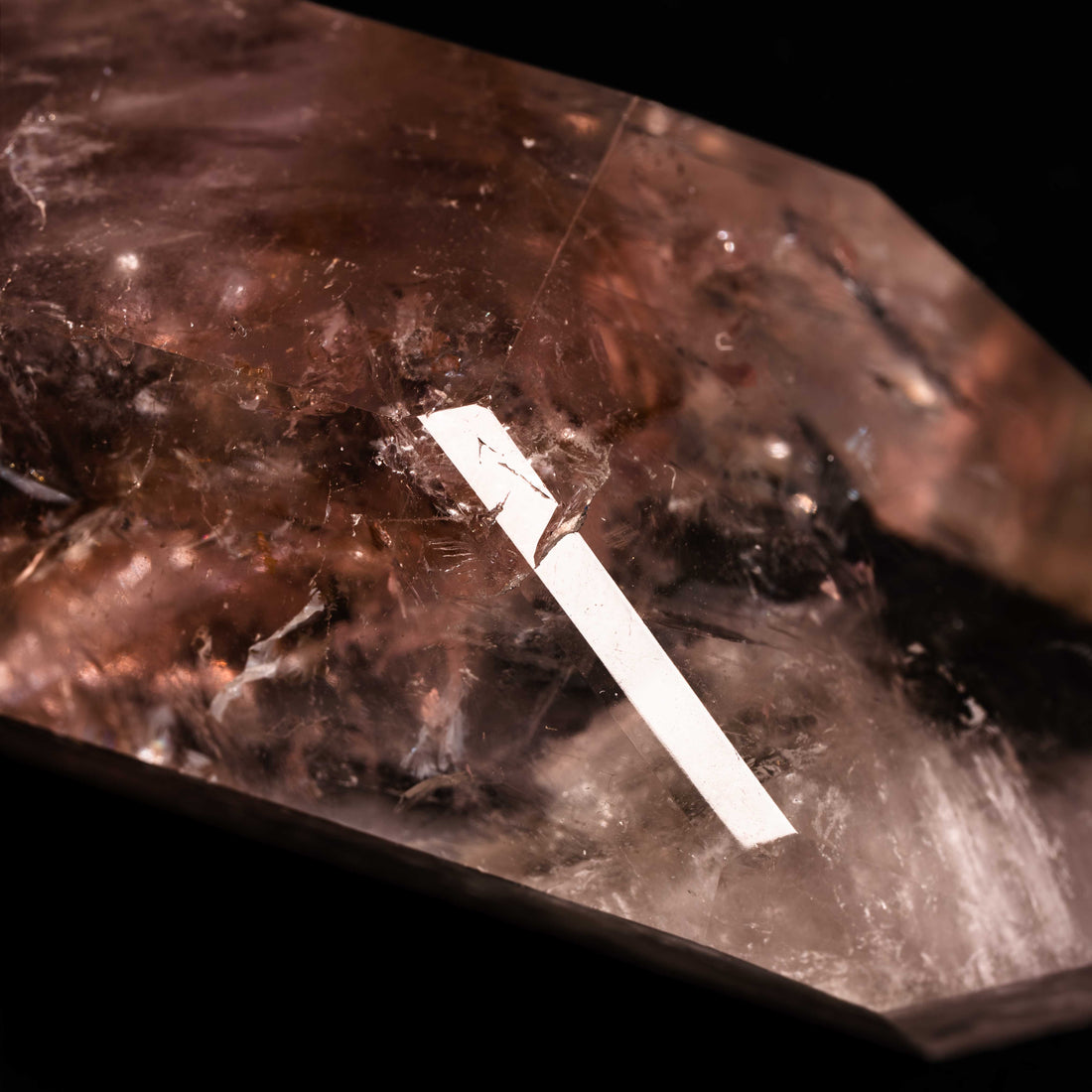 Powellite - Freefrom