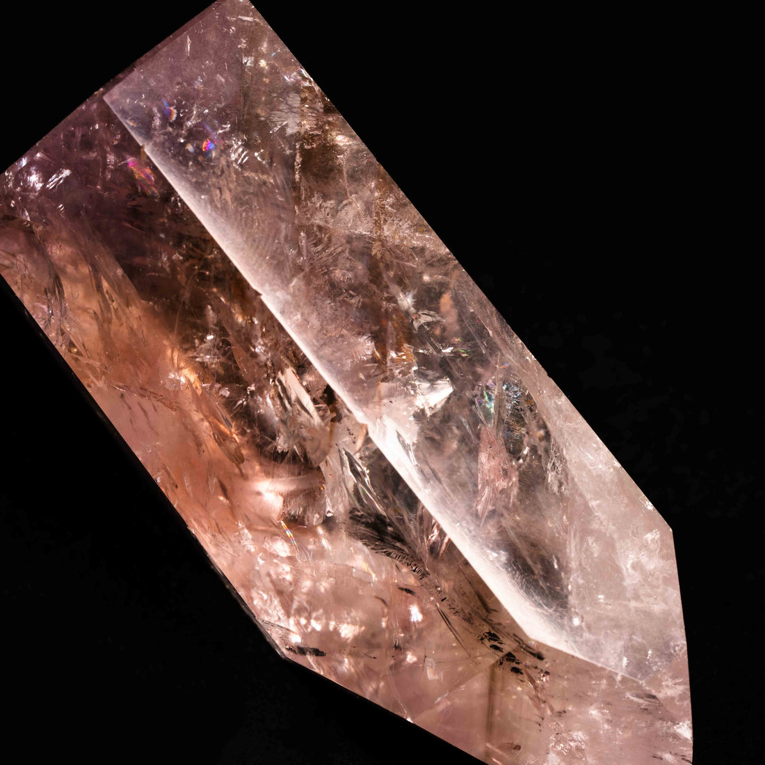 Powellite - Freefrom