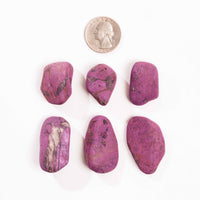 Purpurite - Intuitive Pick