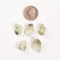 Yellow/Green Prehnite - Polished, Intuitive Pick