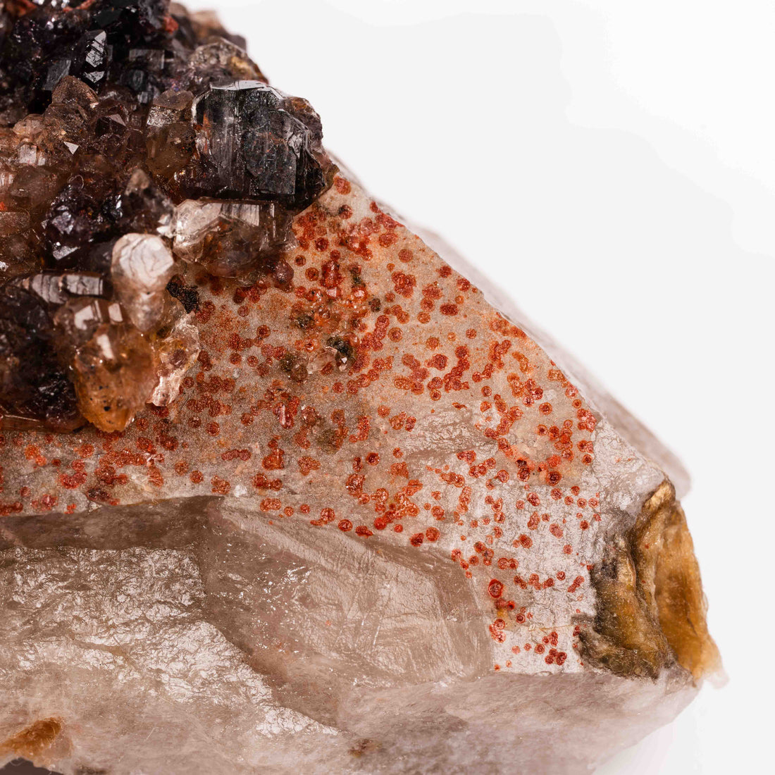Smoky Amethyst Elestials - Earth Love Gallery Collection