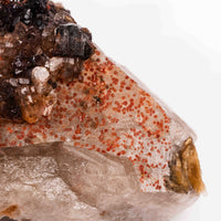 Smoky Amethyst Elestials - Earth Love Gallery Collection