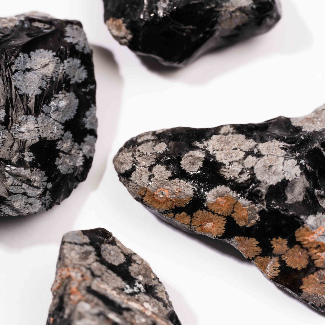 Obsidian - Snowflake Rough