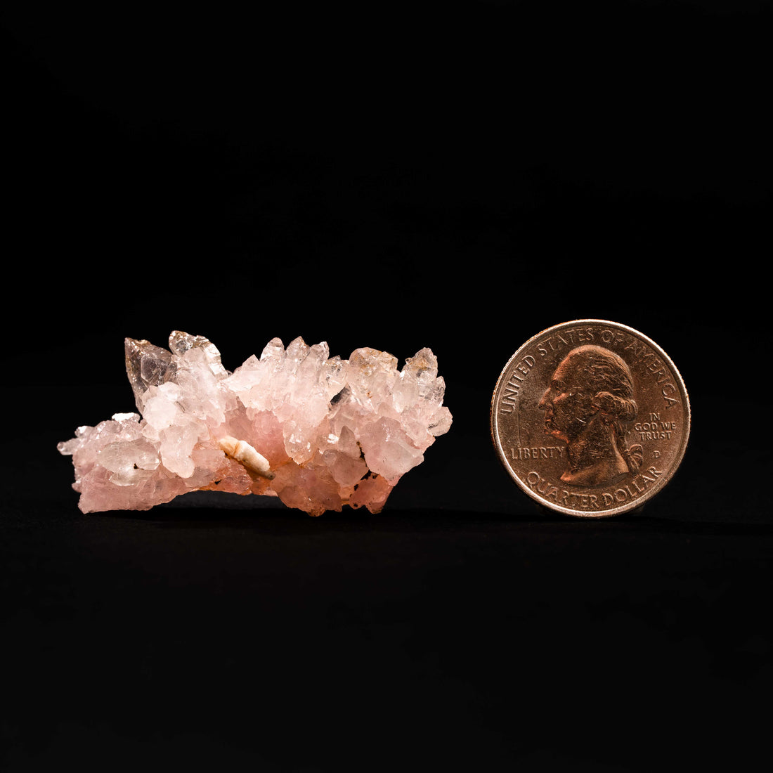 Quartz, Rose- Terminated