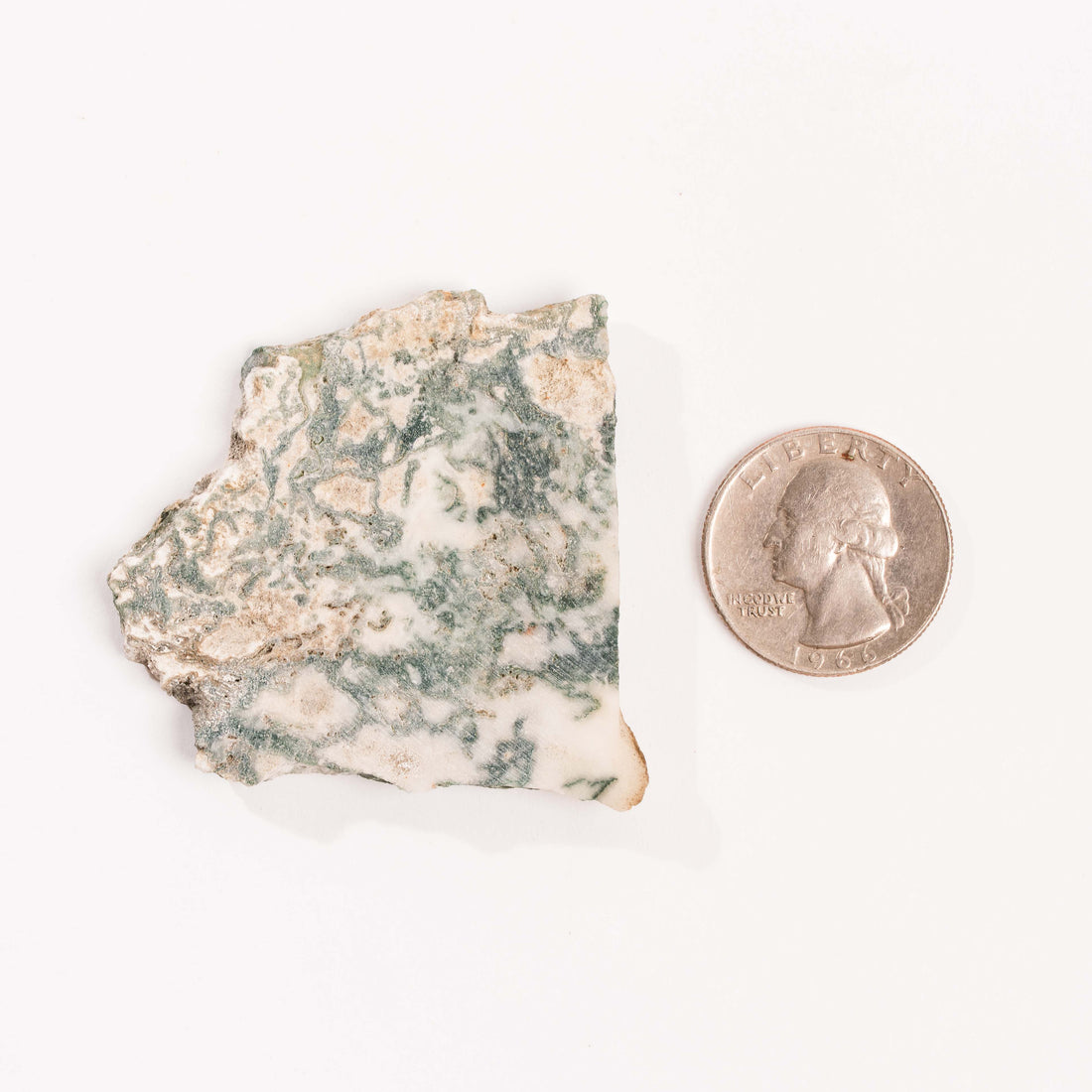 Agate, Tree - Small Slab
