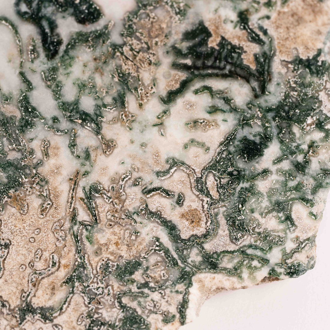 Agate, Tree - Small Slab