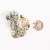 Agate, Tree - Rough