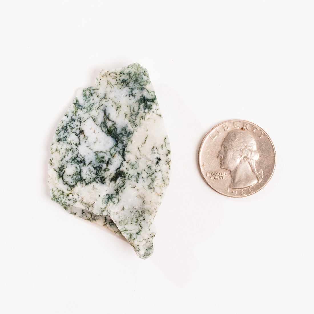 Agate, Tree - Rough