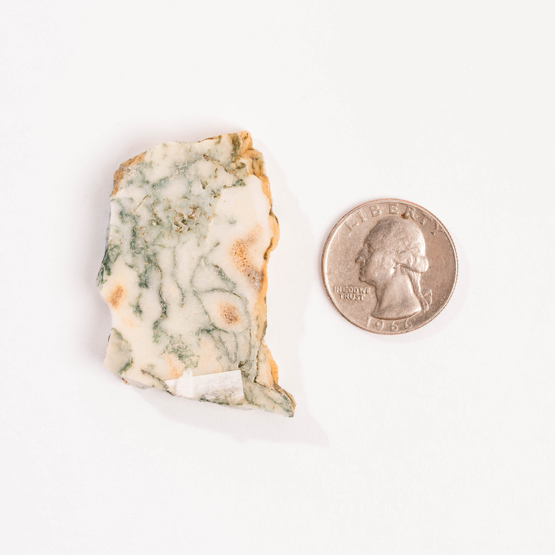 Agate, Tree - Small Slab