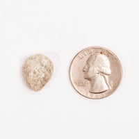 Aventurine, White - Intuitive Pick