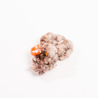 Wulfenite - Rough, Fragile