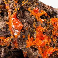 Wulfenite - Rough, Fragile