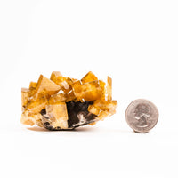 Yellow Barite on Fluorite - Bladed Cluster