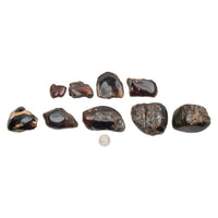Amber, Blue - A-Grade, Half-Polished, Intuitive Picks