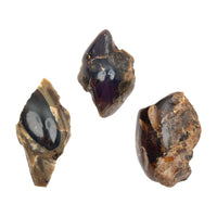 Amber, Blue - Half-Polished, Intuitive Picks