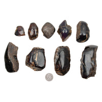 Amber, Blue - Half-Polished, Intuitive Picks