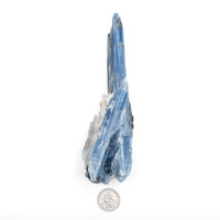 Blue Kyanite - AA Grade Specimen