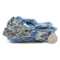 Blue Kyanite with Quartz