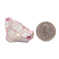 Calcite, Cobaltoan - Rough w/Dolomite, AAA-Grade