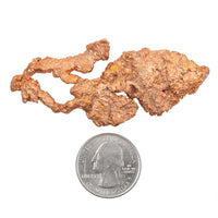 Copper - Specimen