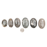 Polarized Moonstone - Palm Stones