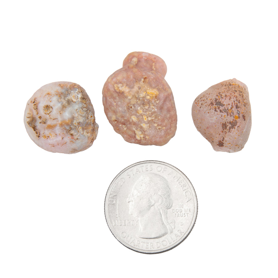 Agate - Gobi Desert - Small, Intuitive Picks