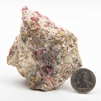 Garnet - Pink, Rough w/ Vesuvianite