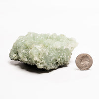 Prehnite with Epidote- Rough