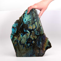 Labradorite - Spectral, Large, Half-Polished Slab