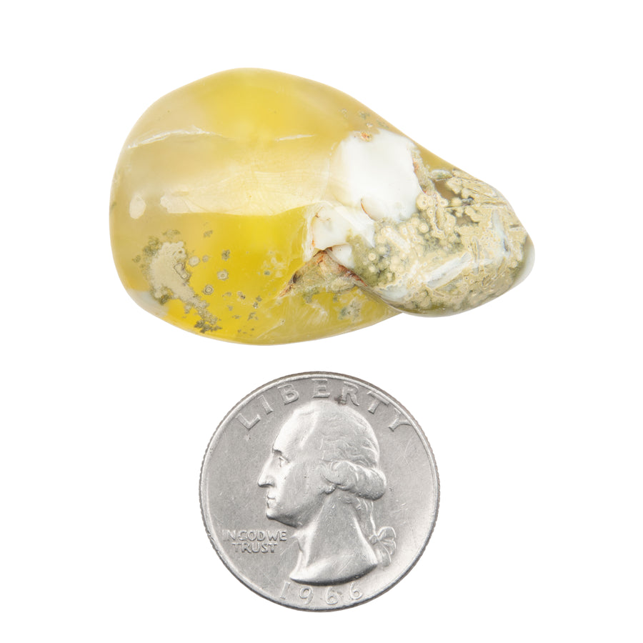 Yellow Prehnite - Polished, Freeform