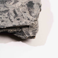Slaty Shale Record - Earth Love Gallery Collection