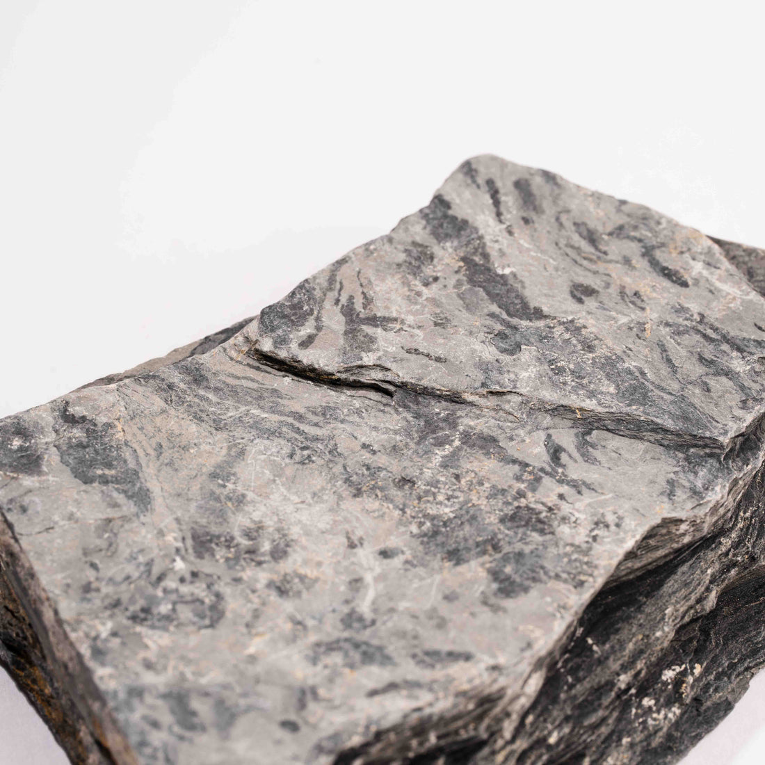 Slaty Shale Record - Earth Love Gallery Collection