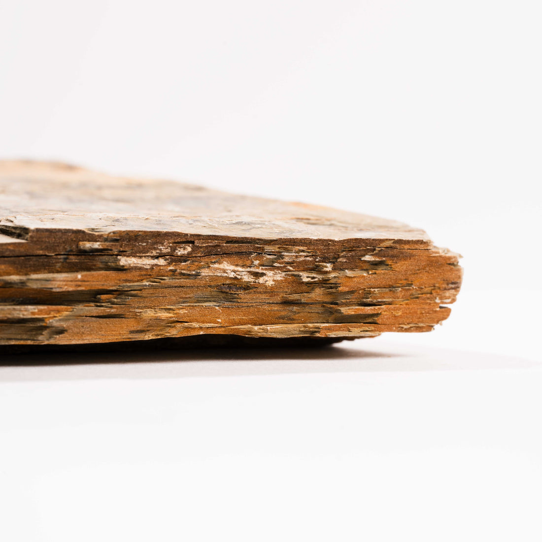 Slaty Shale Record - Earth Love Gallery Collection