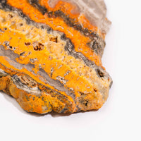 Bumble Bee Jasper - Slab, Large