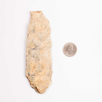 Slaty Shale Record - Earth Love Gallery Collection