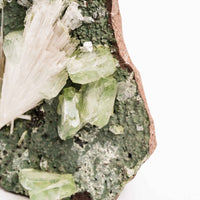 Apophyllite, Green - Cluster