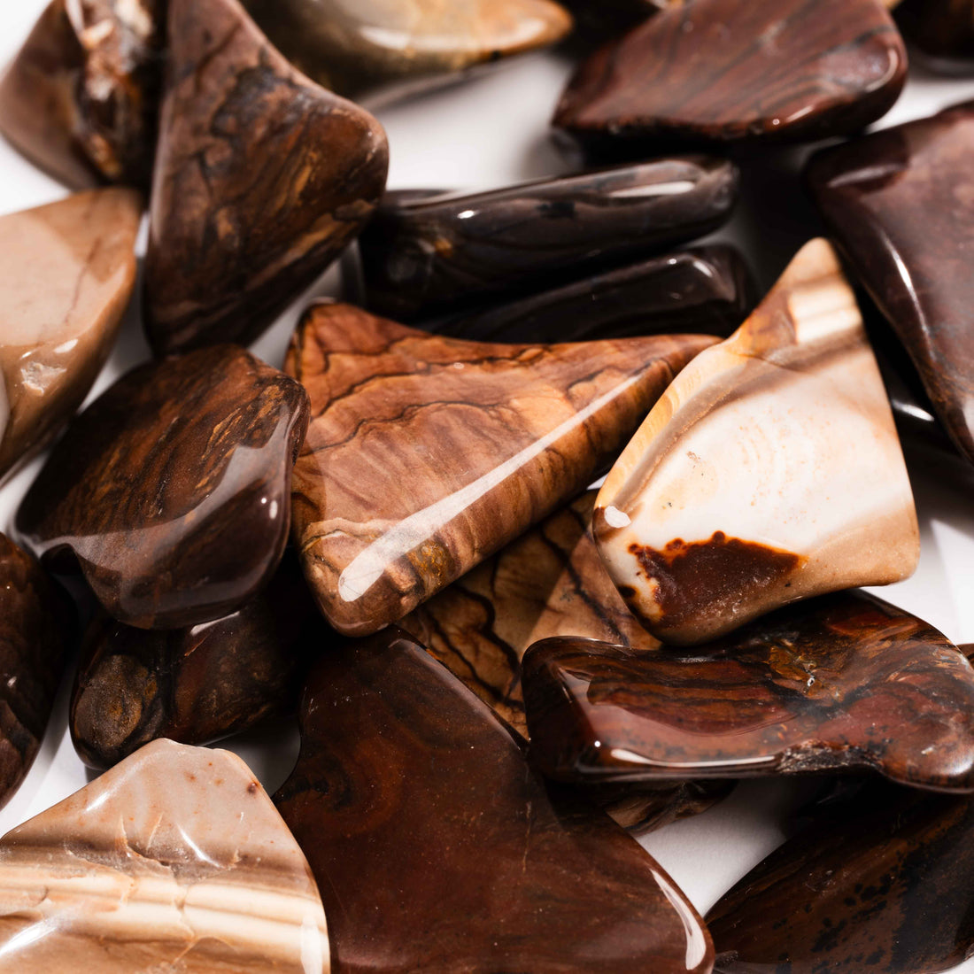 Biggs Jasper, Intuitive Picks - Earth Love Gallery Collection