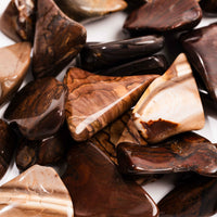 Biggs Jasper, Intuitive Picks - Earth Love Gallery Collection