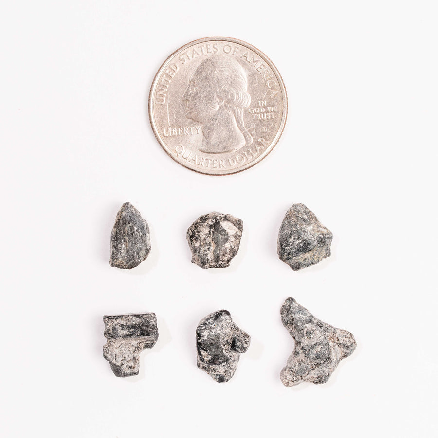 Alexandrite - Terminated Pieces - Intuitive Pick - Earth Love Gallery Collection