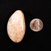 Natrolite - Polished