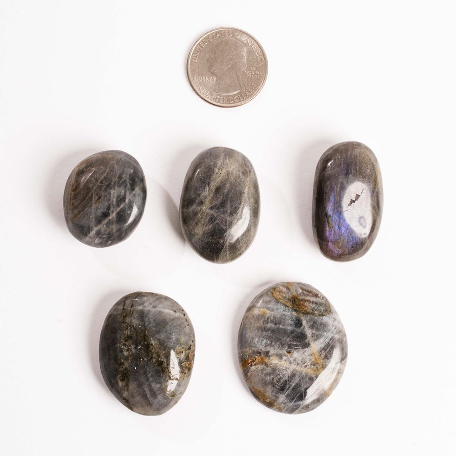 Labradorite, Blue/Purple Flash - Palms
