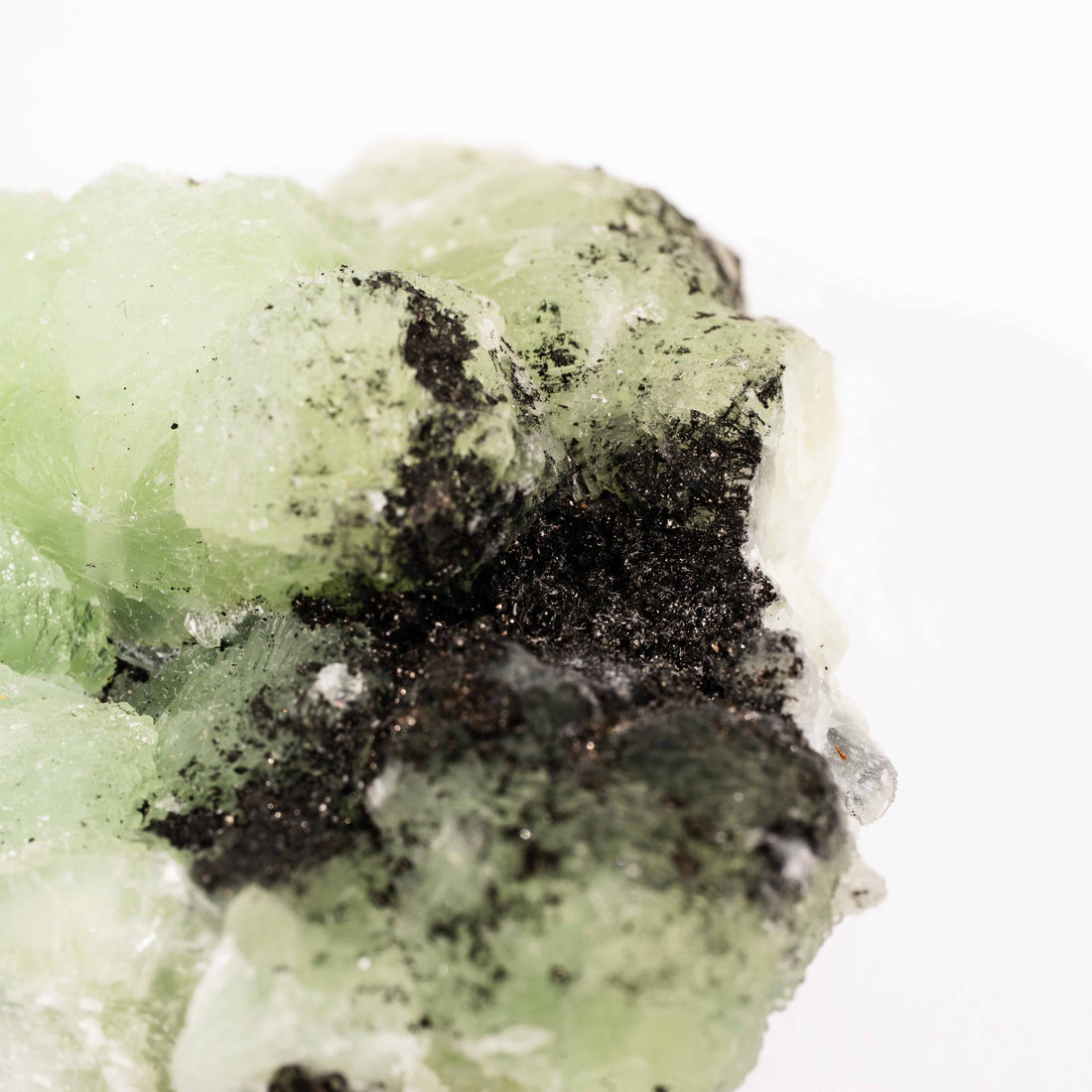 Prehnite w/ Black Quartz - Rough