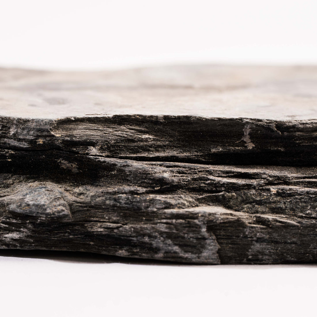 Slaty Shale Record - Earth Love Gallery Collection