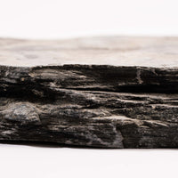 Slaty Shale Record - Earth Love Gallery Collection