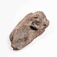 Alexandrite in Mica Schist - Earth Love Gallery Collection