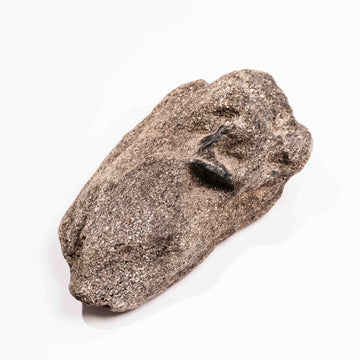 Alexandrite in Mica Schist - Earth Love Gallery Collection