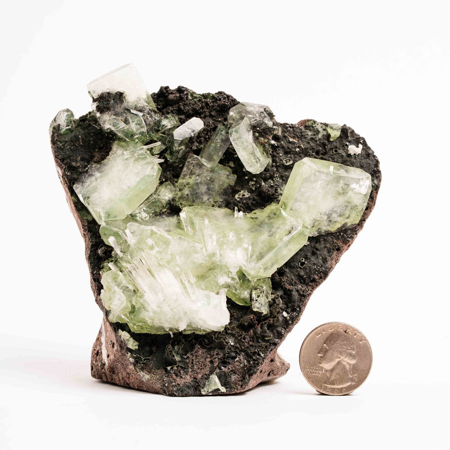Apophyllite, Green - Cluster
